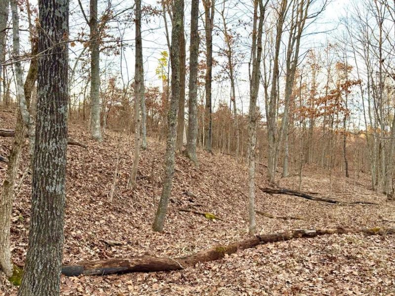 0 St Rt 139, Madison Twp, OH 45653 Photo 53