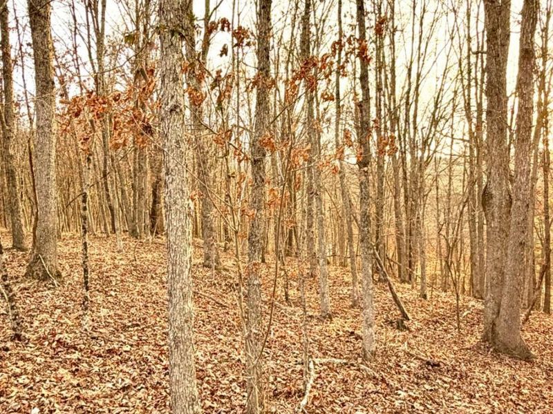 0 St Rt 139, Madison Twp, OH 45653 Photo 54