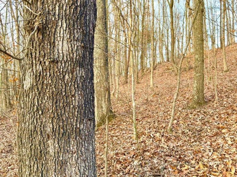 0 St Rt 139, Madison Twp, OH 45653 Photo 55