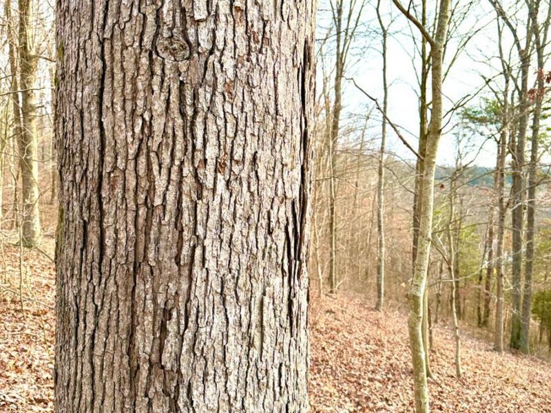 0 St Rt 139, Madison Twp, OH 45653 Photo 56