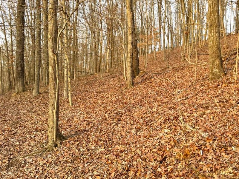 0 St Rt 139, Madison Twp, OH 45653 Photo 57