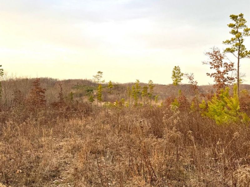 0 St Rt 139, Madison Twp, OH 45653 Photo 58