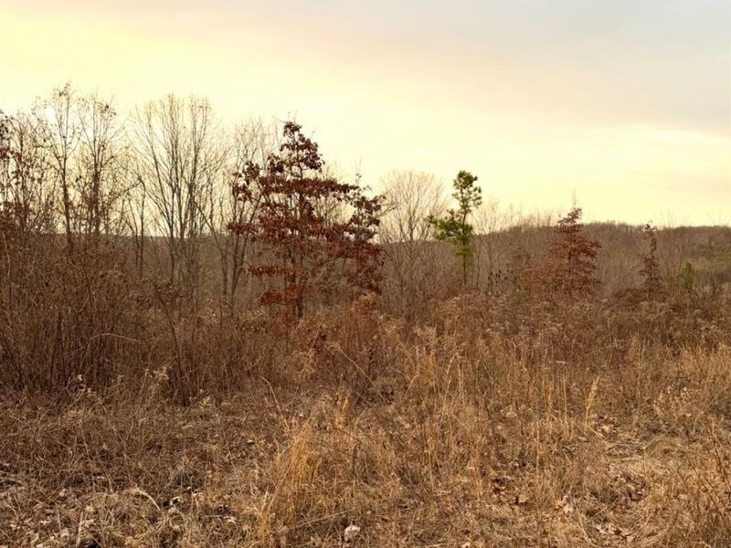 0 St Rt 139, Madison Twp, OH 45653 Photo 59