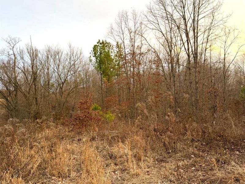 0 St Rt 139, Madison Twp, OH 45653 Photo 60