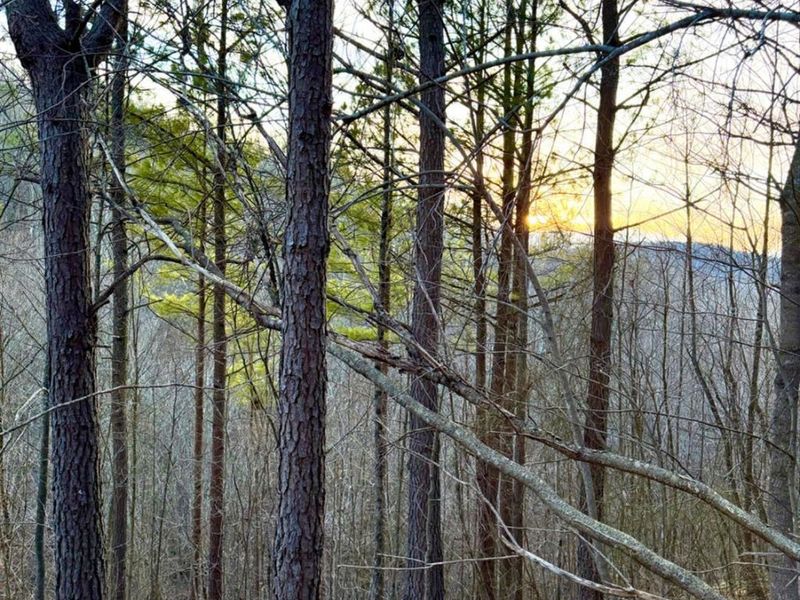 0 St Rt 139, Madison Twp, OH 45653 Photo 63