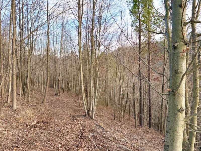 0 St Rt 139, Madison Twp, OH 45653 Photo 64