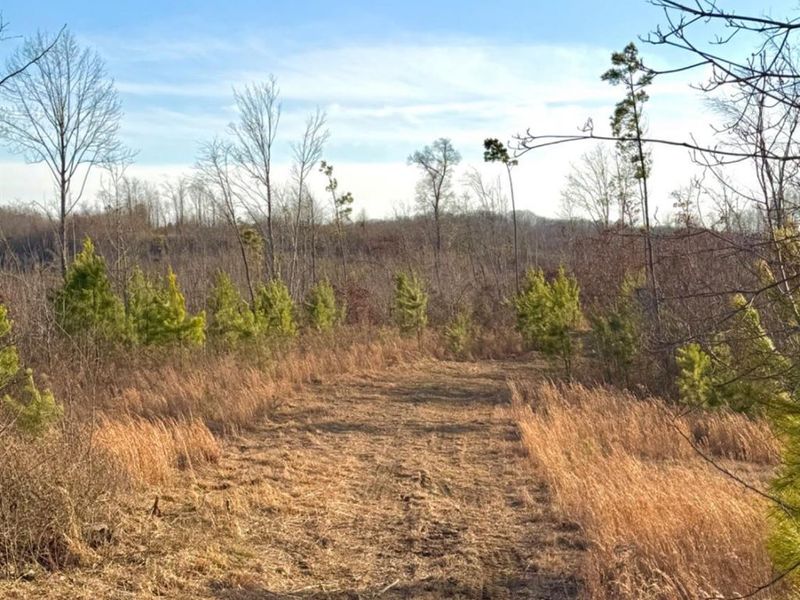 0 St Rt 139, Madison Twp, OH 45653 Photo 65