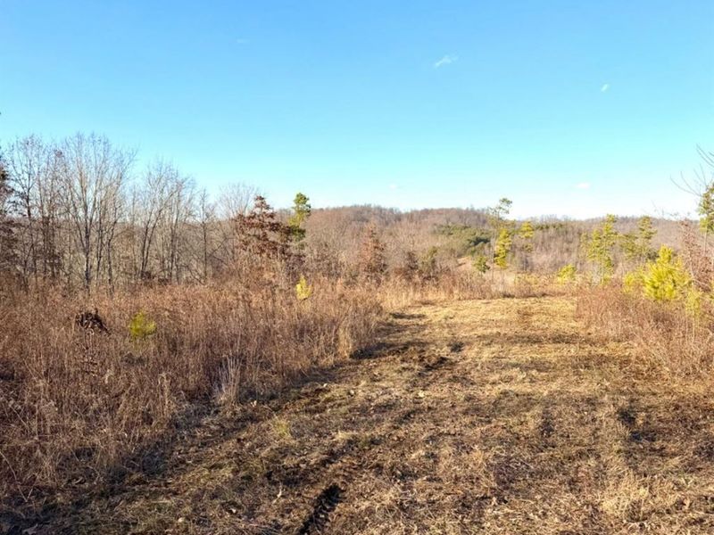 0 St Rt 139, Madison Twp, OH 45653 Photo 66