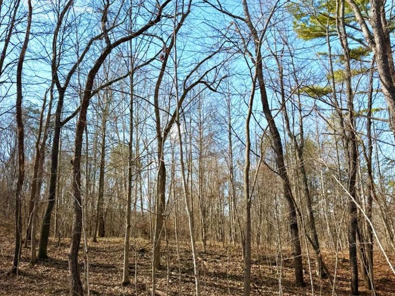 0 St Rt 139, Madison Twp, OH 45653 Photo 68