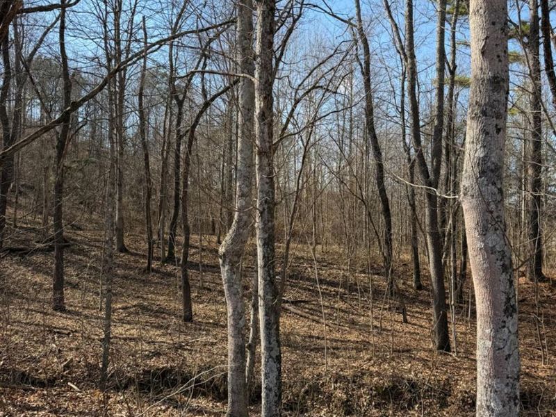 0 St Rt 139, Madison Twp, OH 45653 Photo 69