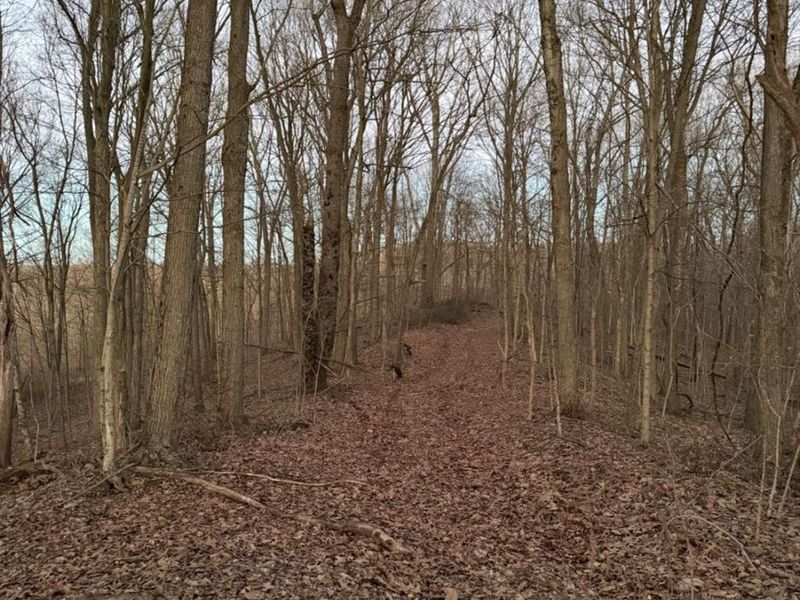 0 St Rt 139, Madison Twp, OH 45653 Photo 71