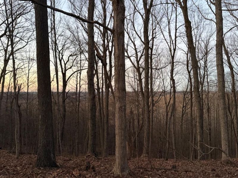 0 St Rt 139, Madison Twp, OH 45653 Photo 72