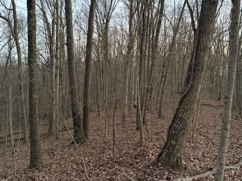 0 St Rt 139, Madison Twp, OH 45653 Photo 73