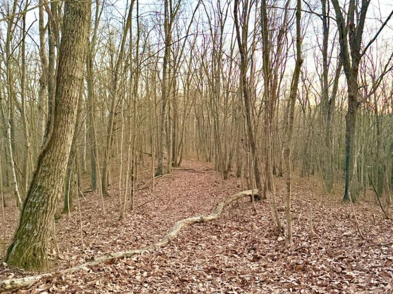 0 St Rt 139, Madison Twp, OH 45653 Photo 74