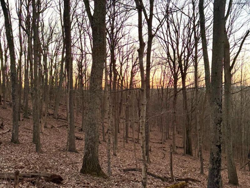 0 St Rt 139, Madison Twp, OH 45653 Photo 75