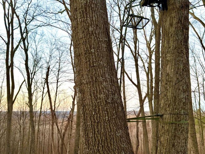 0 St Rt 139, Madison Twp, OH 45653 Photo 76