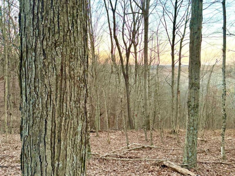 0 St Rt 139, Madison Twp, OH 45653 Photo 78