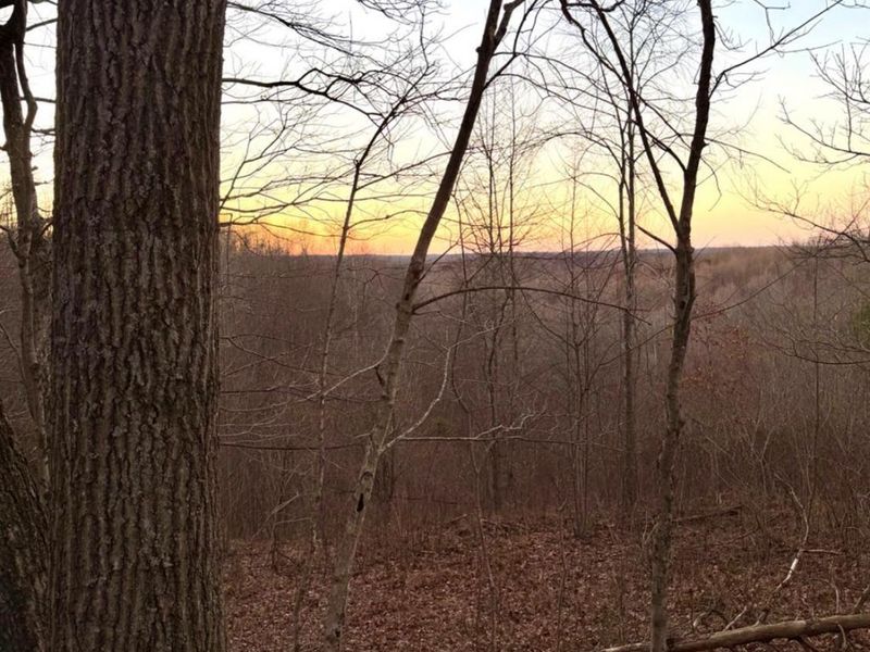 0 St Rt 139, Madison Twp, OH 45653 Photo 79