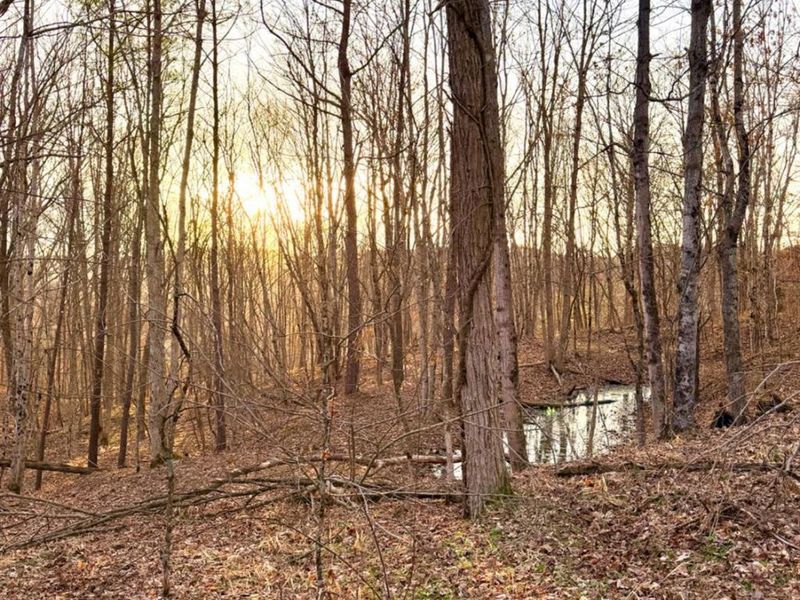 0 St Rt 139, Madison Twp, OH 45653 Photo 8