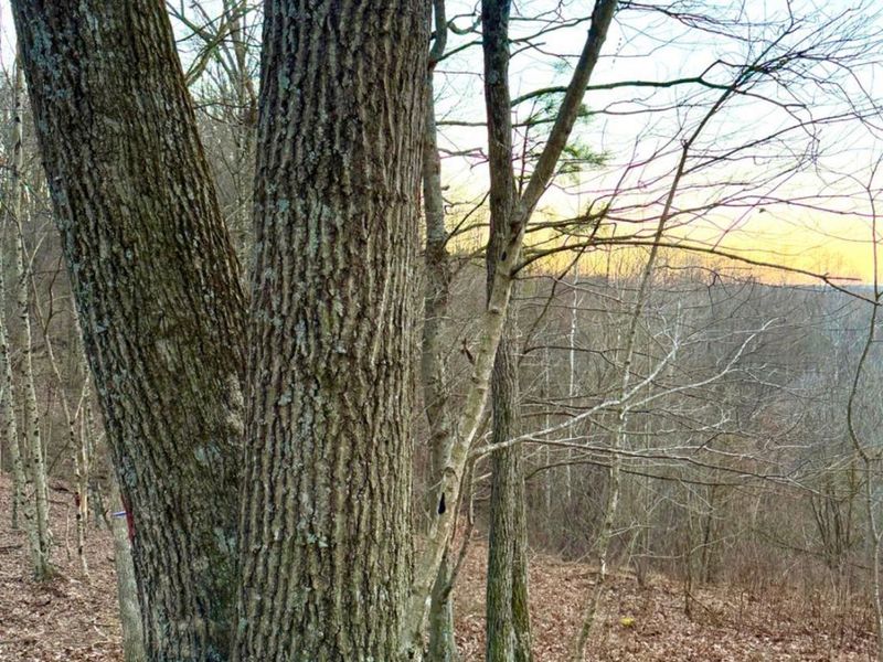 0 St Rt 139, Madison Twp, OH 45653 Photo 80