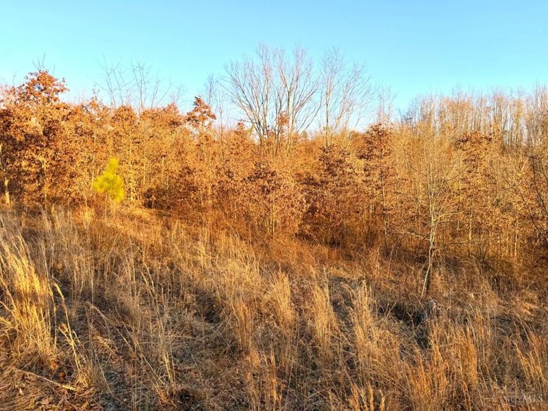 0 St Rt 139, Madison Twp, OH 45653 Photo 85