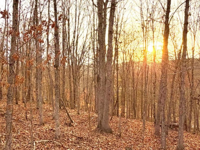 0 St Rt 139, Madison Twp, OH 45653 Photo 9