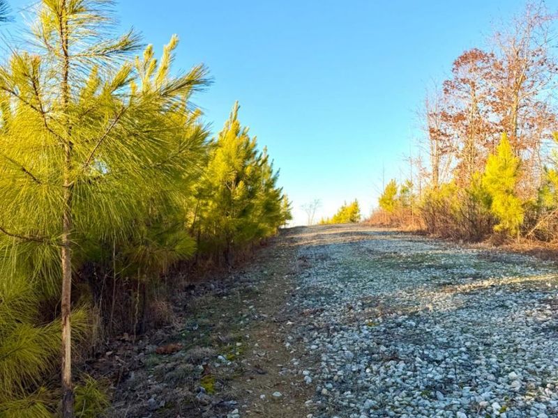 0 St Rt 139, Madison Twp, OH 45653 Photo 90