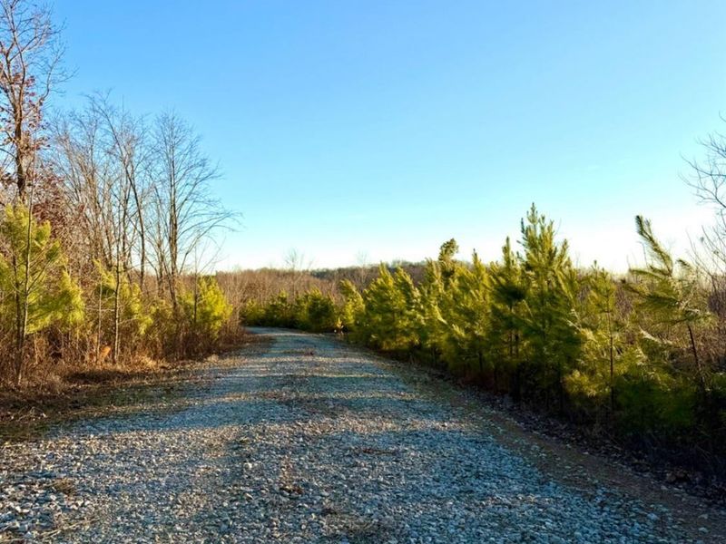 0 St Rt 139, Madison Twp, OH 45653 Photo 91