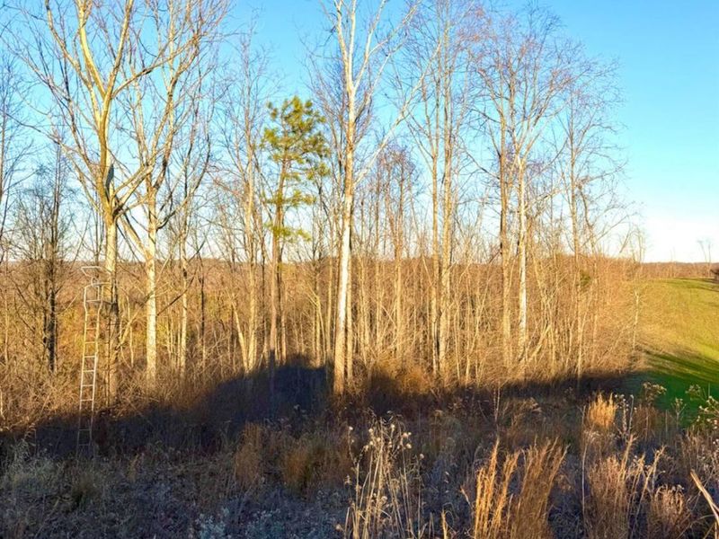 0 St Rt 139, Madison Twp, OH 45653 Photo 92