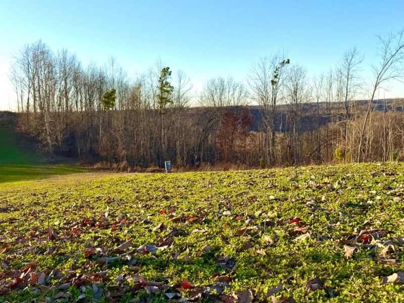 0 St Rt 139, Madison Twp, OH 45653 Photo 93