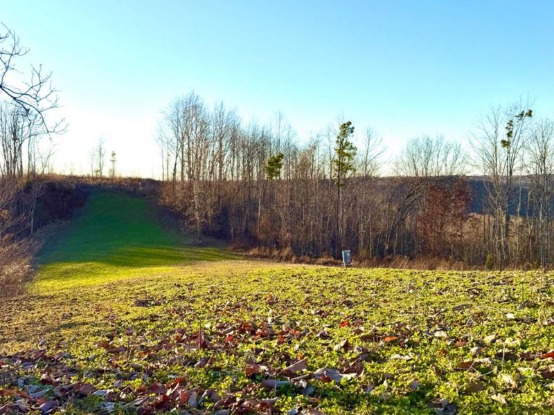 0 St Rt 139, Madison Twp, OH 45653 Photo 94