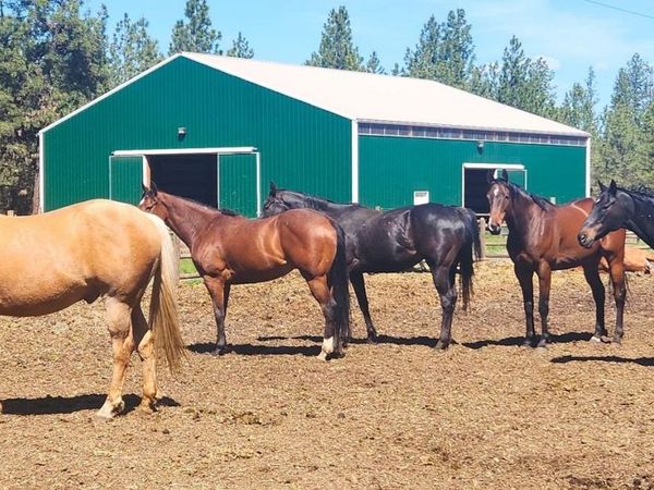 1810 W Paradise Rd, Spokane, WA 99224