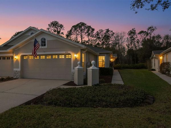 3252 CHAPEL CREEK CIRCLE , WESLEY CHAPEL, FL 33544