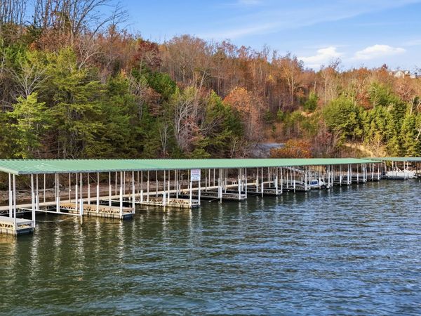 125 Hidden Forest Trail, Spring City, TN 37381