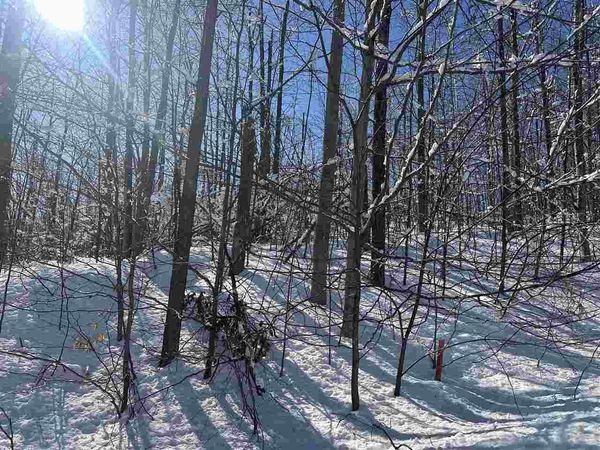 1339 Andover Club Drive, Unit 33, Harbor Springs, MI 49740