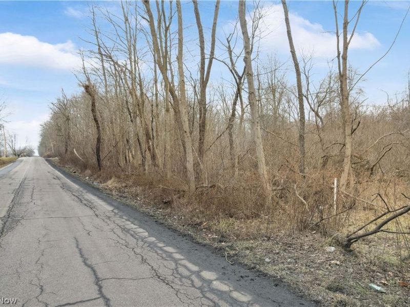 Lane West SW Road SW, Warren, OH 44481 Photo 3