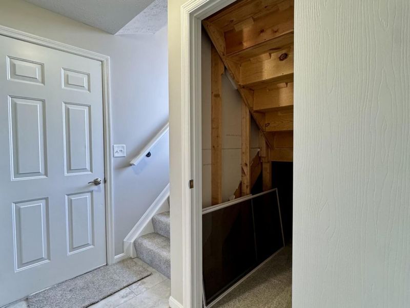 3658 Mitten Drive, Elsmere, KY 41018 Photo 37