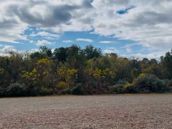 Lot 5 FELTY MILL ROAD, PALMYRA, PA 17078