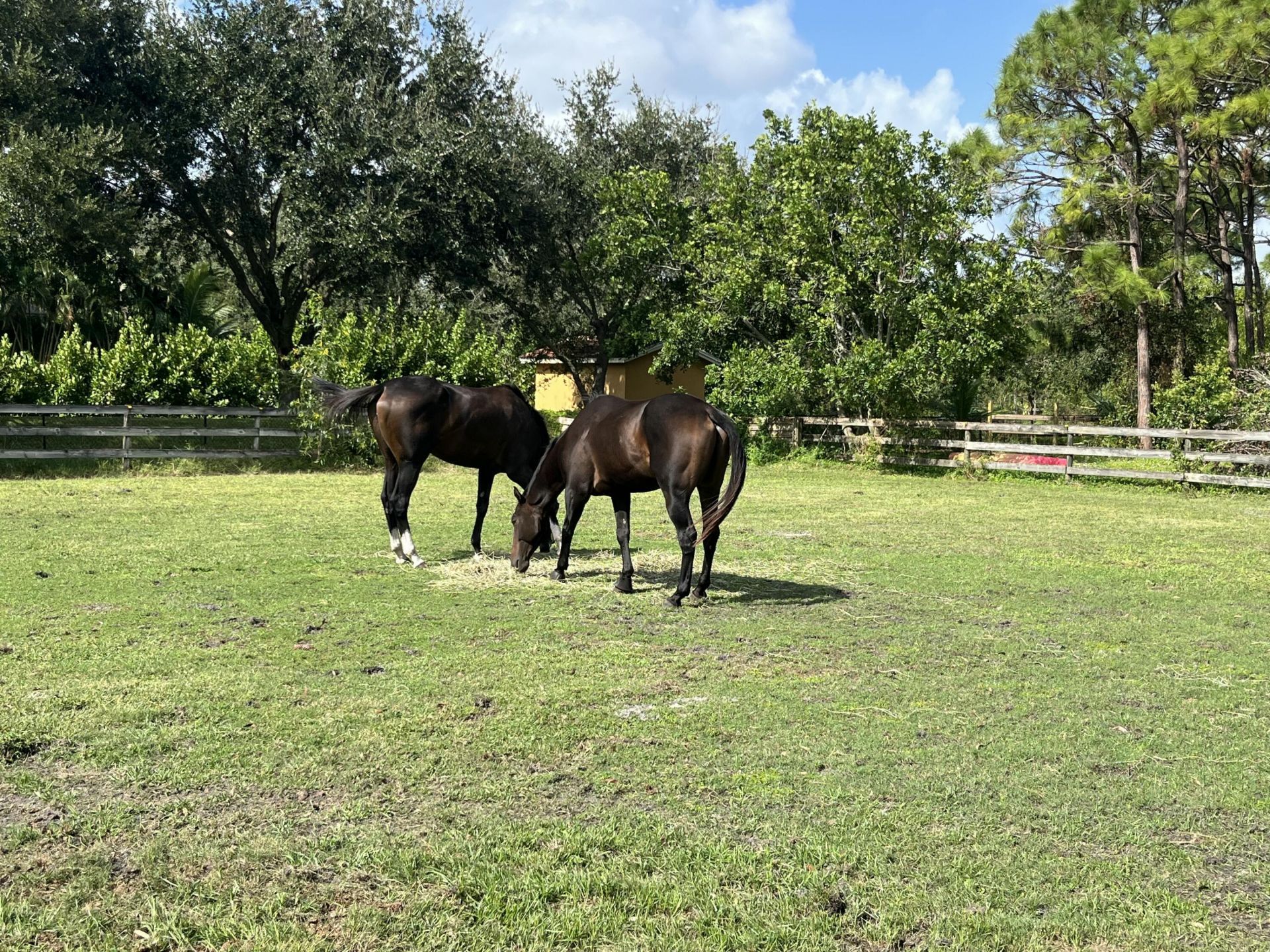 7251 Gullotti Place, Port Saint Lucie, FL 34952 Photo