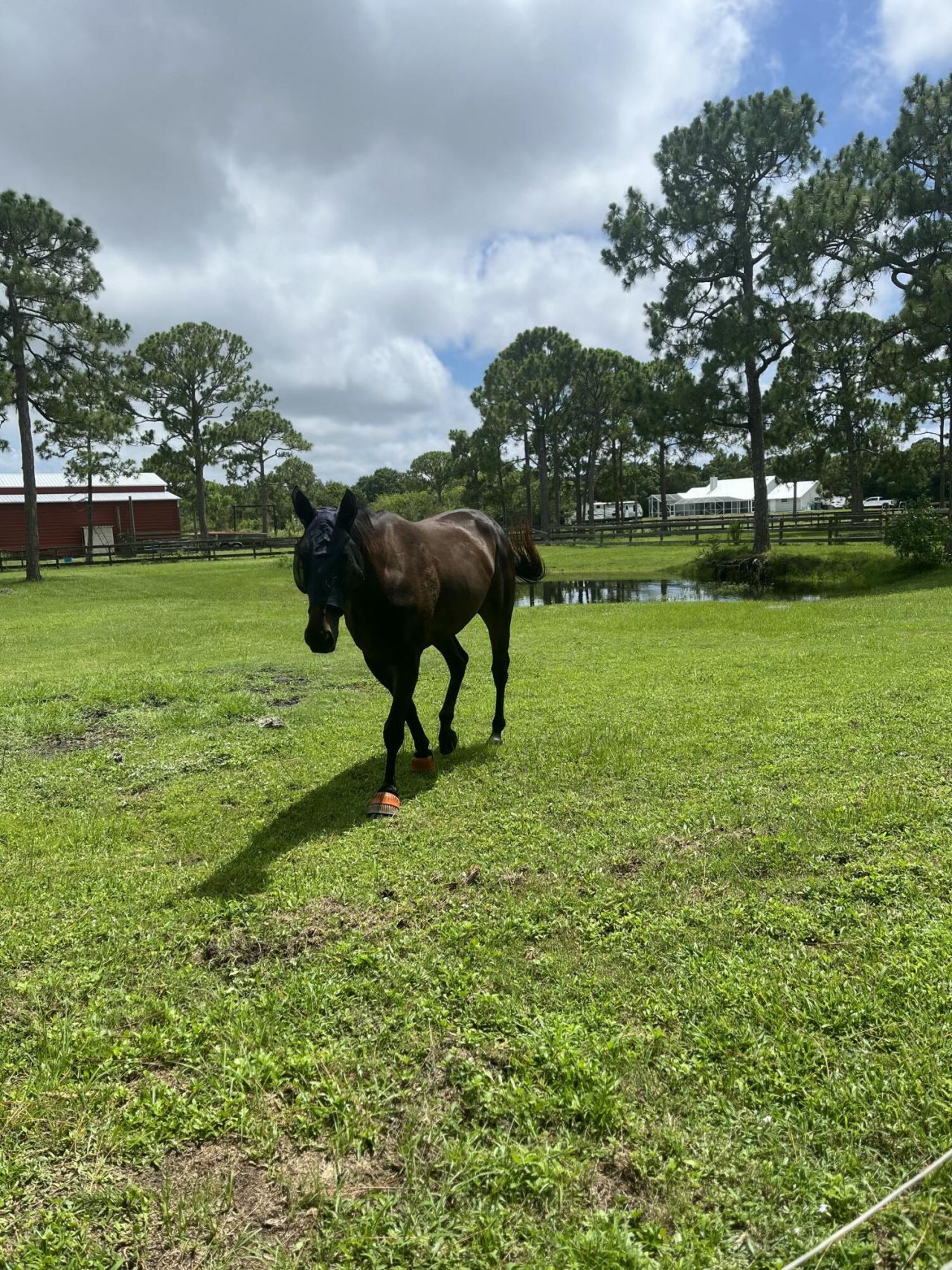 7251 Gullotti Place, Port Saint Lucie, FL 34952 Photo