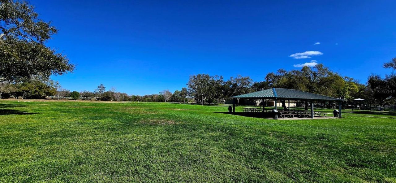 8029 22nd Avenue N, Saint Petersburg, FL 33710 Photo