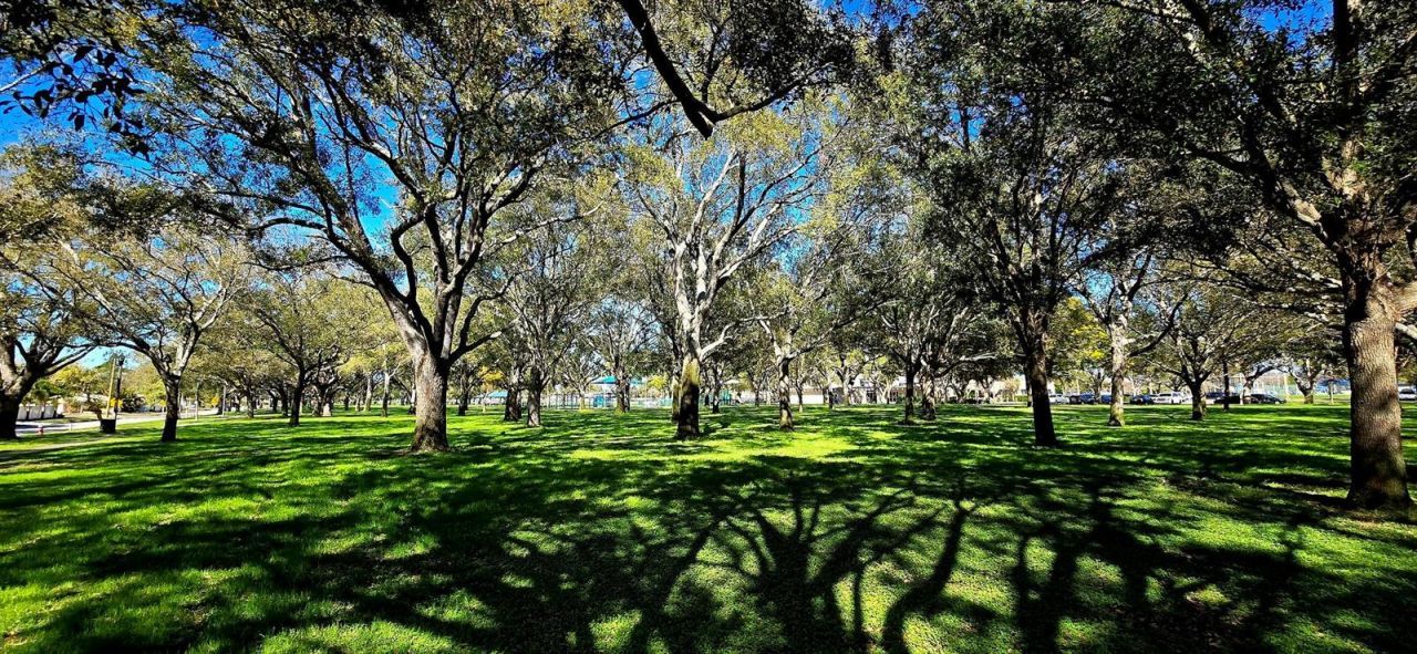 8029 22nd Avenue N, Saint Petersburg, FL 33710 Photo