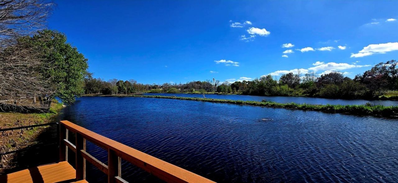 8029 22nd Avenue N, Saint Petersburg, FL 33710 Photo