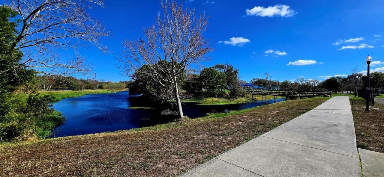 8029 22nd Avenue N, Saint Petersburg, FL 33710 Photo