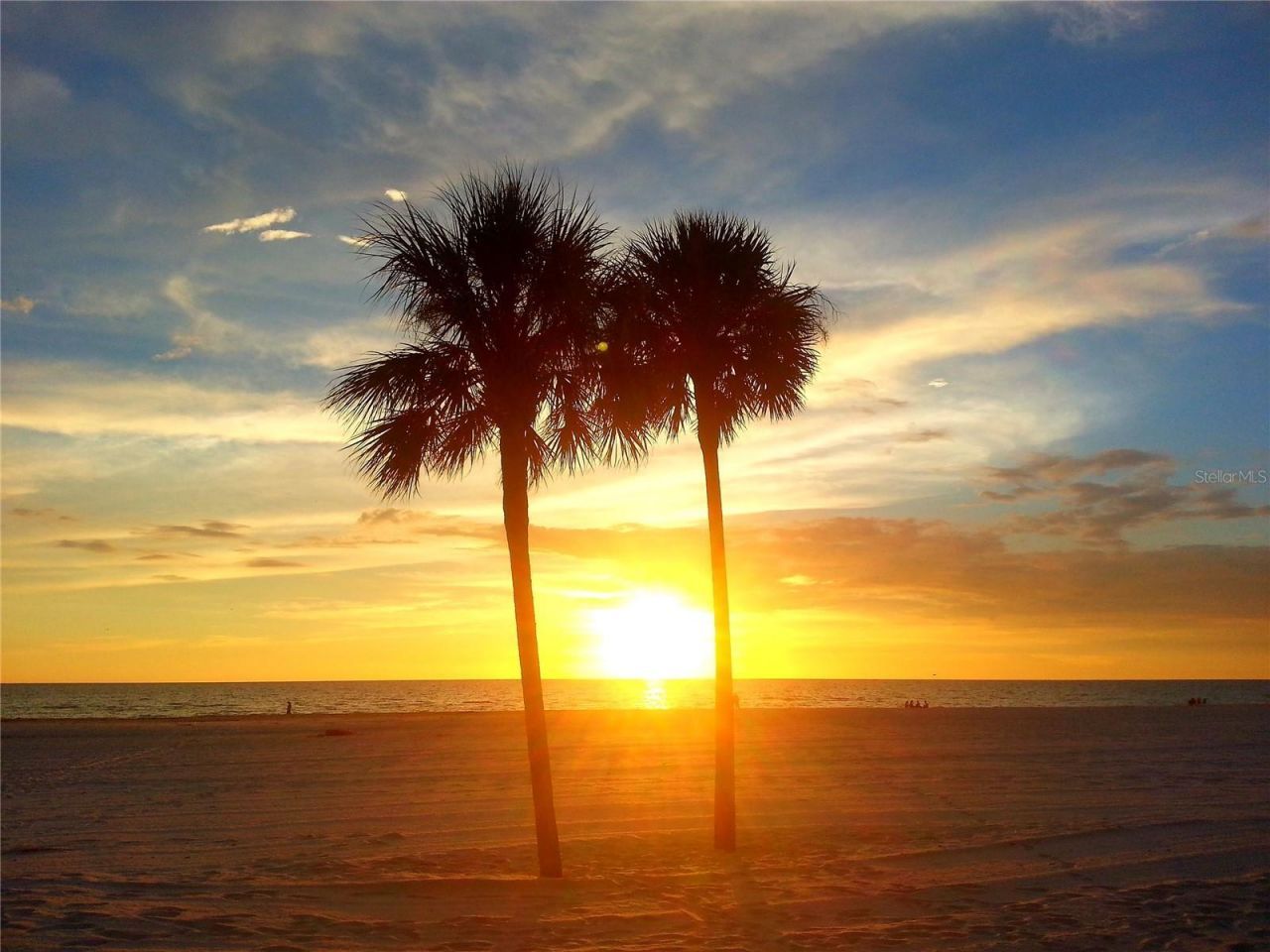 8029 22nd Avenue N, Saint Petersburg, FL 33710 Photo