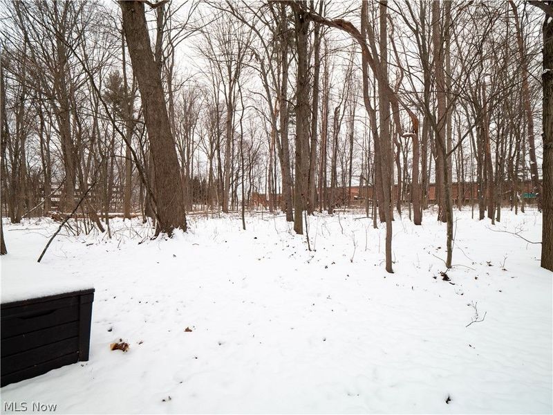 1943 Savannah, Westlake, OH 44145 Photo 33