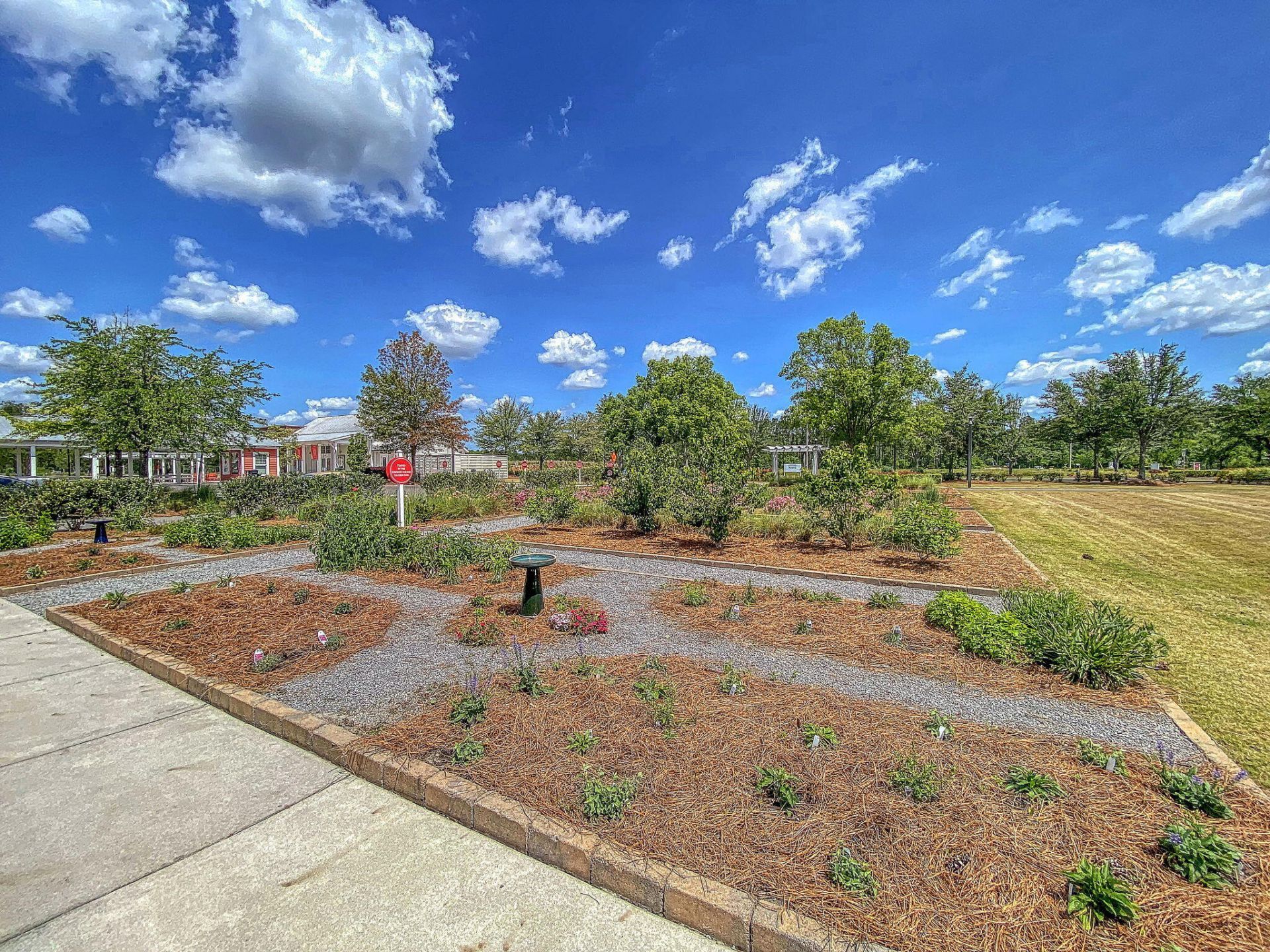 230 Bird Song Path Photo 79