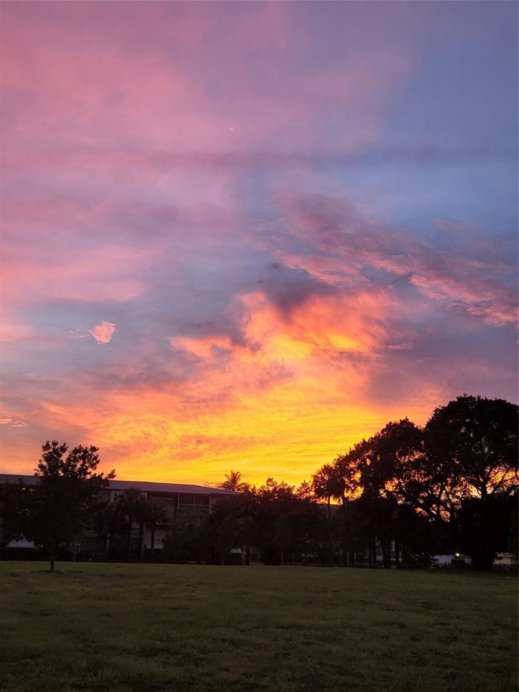 4900 Washington Street, Unit 309, Hollywood, FL 33021 Photo