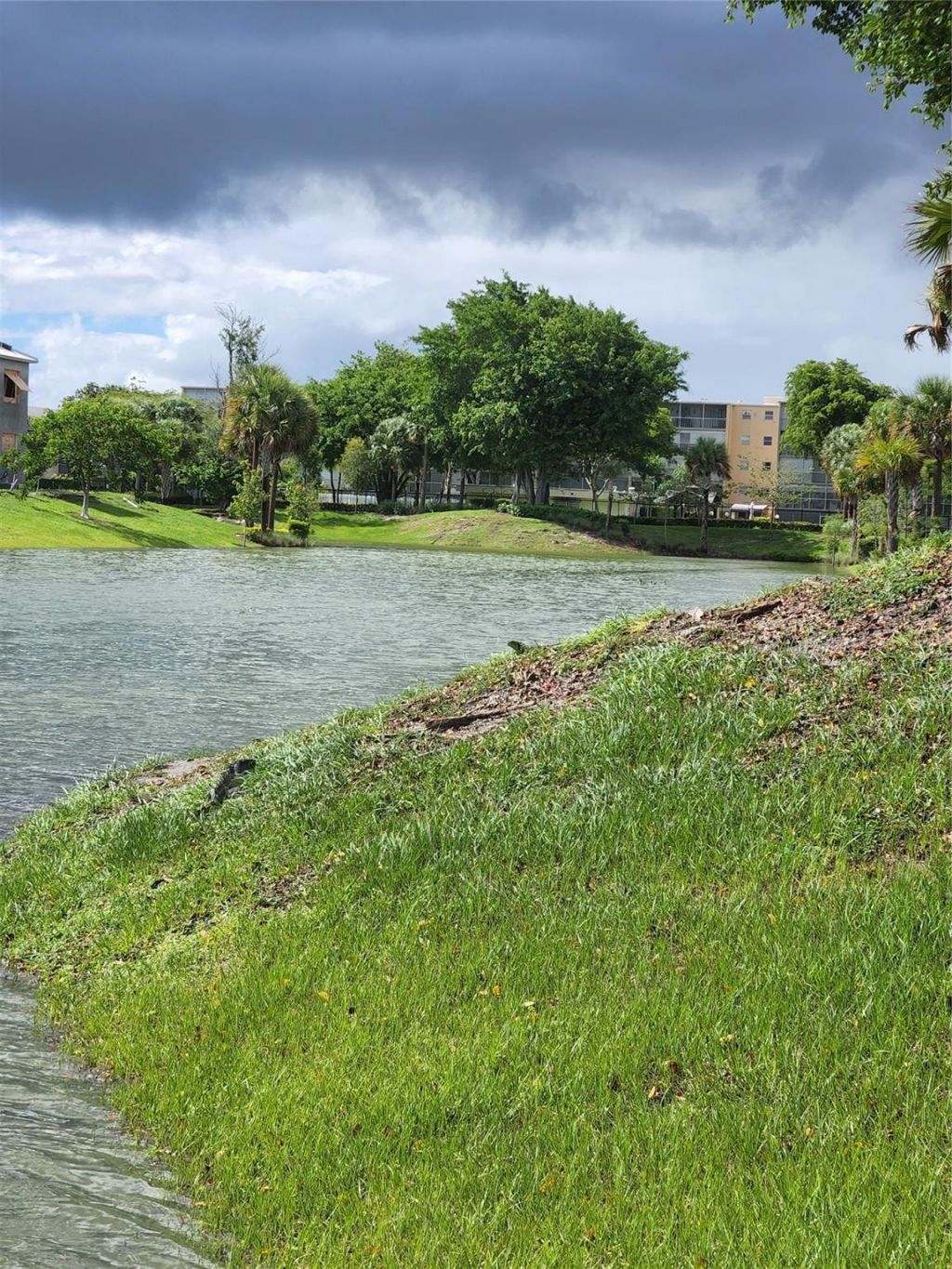 4900 Washington Street, Unit 309, Hollywood, FL 33021 Photo