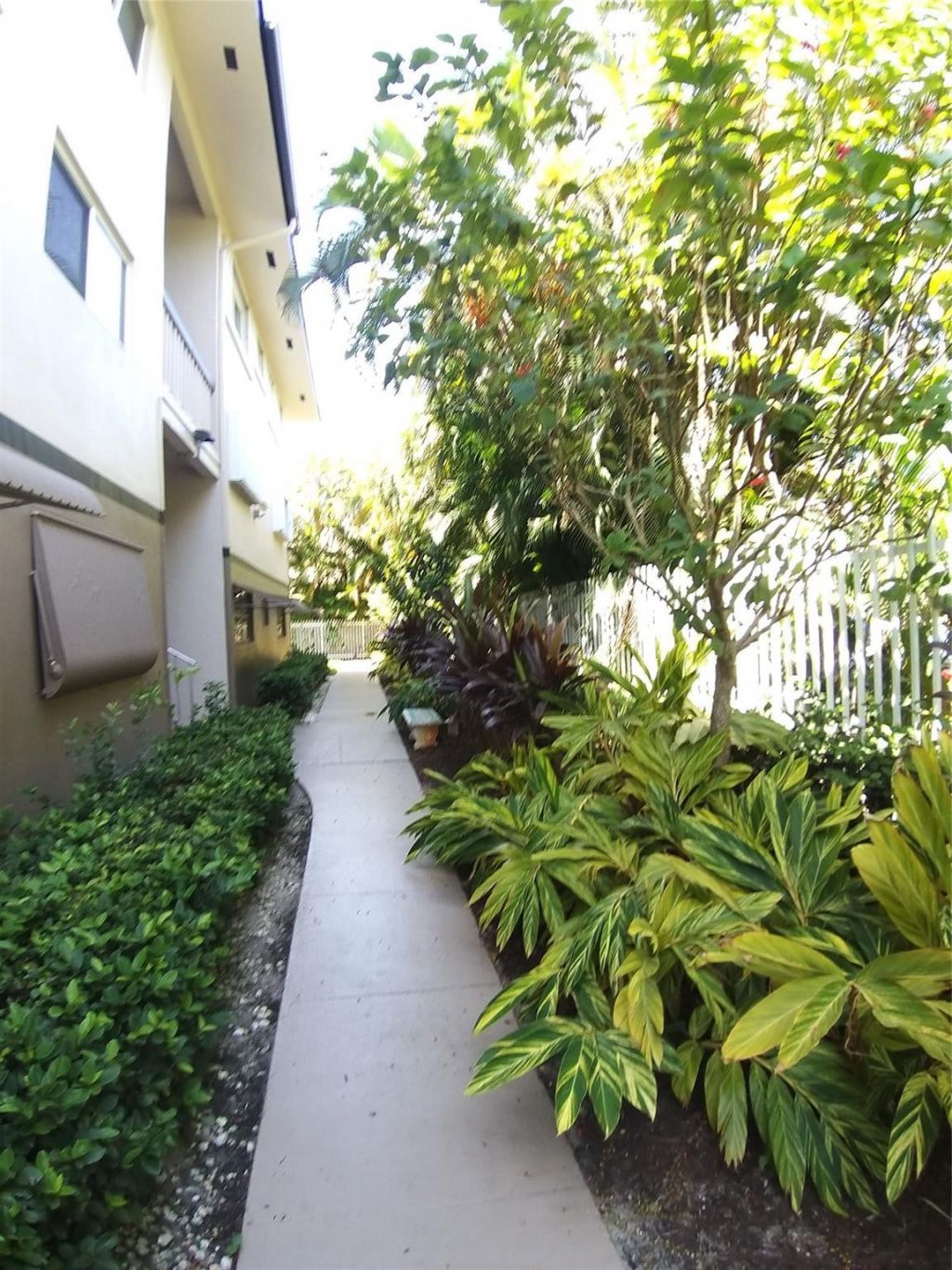 4900 Washington Street, Unit 309, Hollywood, FL 33021 Photo